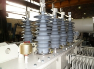 Silicon bushings on a distribution transformer