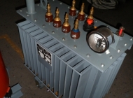 OTDS distribution transformer 