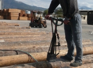 marking of OTDS wooden poles