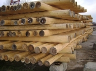 wooden poles